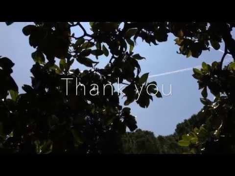 Affirmation Song - I am Grateful - Alexia Chellun