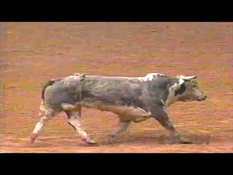 Davo II bucks Bubba Dunn - 97 PBR Richmond