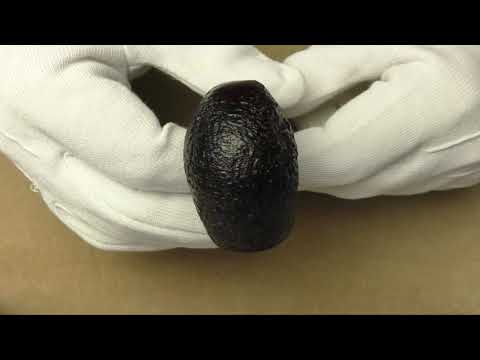 Dunhill Shell Briar 3102 - pipe D851