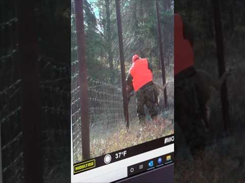 Don't Hunt on Private Property #hunting #deerhunting