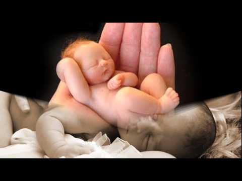 Sinônimo De Amor video