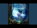 A Walk In The Woods Original Mix