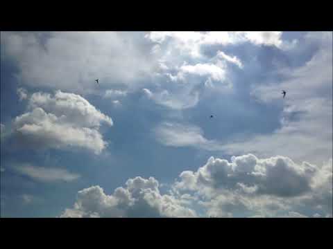 $zmalu  - Kiedy lekko mi jak chmura (prod. Pieper Beats)