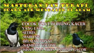 Download lagu masteran kacer, masteran dan terapi burung kacer suara air mengalir di alam mp3 Download lagu masteran kacer, masteran dan terapi burung kacer suara air mengalir di alam mp3