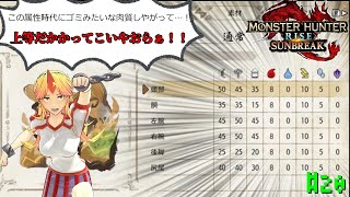 【MHR:S】MRでゆっくり達と実況！#20[ガランゴルム、ゴア・マガラ、ディアブロス編】【ゆっくり実況】