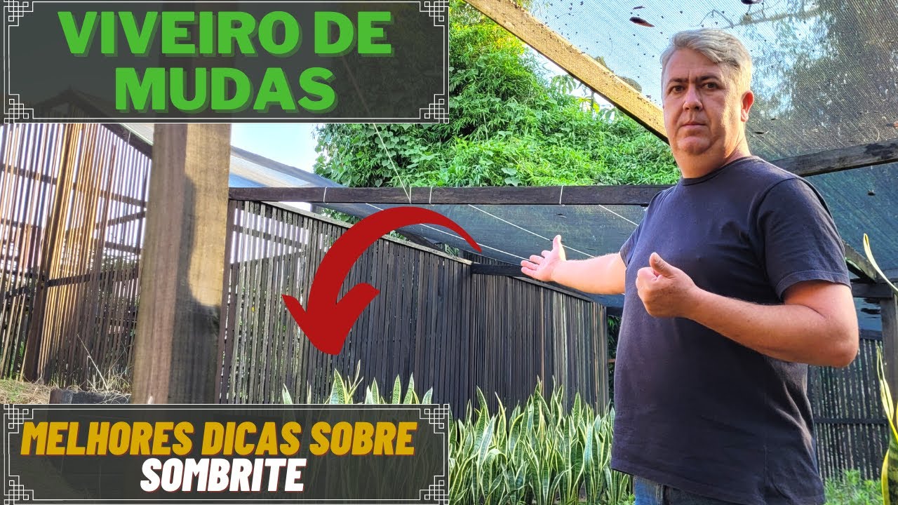 VIVEIRO DE MUDAS | TOP DICAS