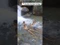 Double Decker Bridge Meghalaya ️ Shorts