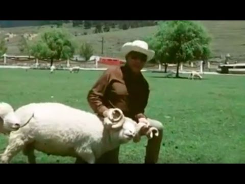 Cantinflas en su hacienda La Purísima, Ixtlahuaca México - El rancho de Mario Moreno (1977)