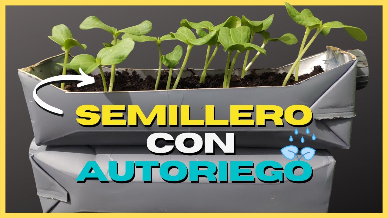 Como hacer un SEMILLERO CASERO CON AUTORIEGO 💧💦