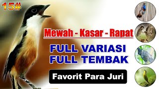 Download lagu Bisa Tirukan Ini Pasti Serem ❗ Masteran Cendet Full Tembakan Kombinasi Paling Dicari mp3