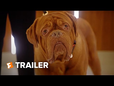 Turner & Hooch Season 1 Trailer | Fandango Family