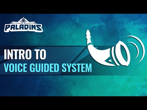 Paladins Tutorial - Intro to VGS