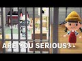 Best Cute Funny Moments Of Raymond Animal Crossing New Horizon