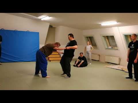 Selbstverteidigung mit Schlägen, Tritten, Hebeln, Würfen | Solovev Style