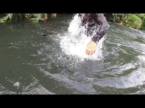 SE03EP011 Part 2 - RESBAK DAY! ( Catch & Cook ) San Pablo City, Laguna