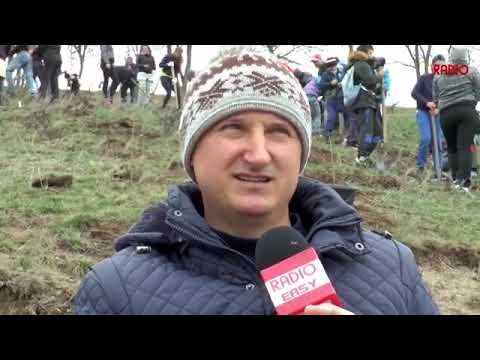 Activitate de plantare a unui număr de peste 400 puieți