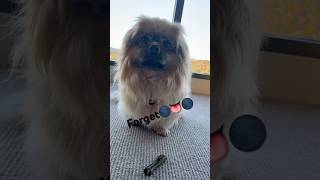 Some times I think and sometimes I forget🌑👅🌑