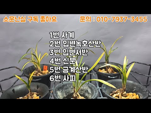 유튜브 썸네일