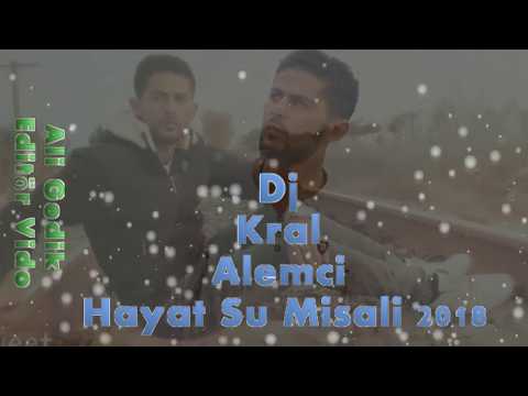 Dj Kral Alemci Hayat Su Misali 2018