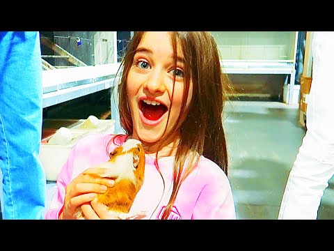 NAZ MEETS HER DREAM PET FOR THE FIRST TIME (emotional) w/The Norris Nuts