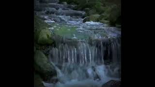 Download lagu Relaksasi suara gemericik air || Suara gemericik air untuk terapi burung mp3