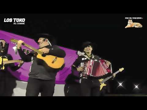 LOS TOKO DEL CHAMAMÉ EN VIVO 🪗 | Día de la Amistad – Pozo del Tigre