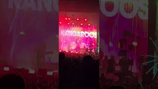 Flaming Lips Live: 'Christmas at the Zoo' at the Zoo Amp!