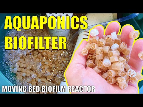 , title : 'Aquaponics Biofilter | Adding a Moving Bed Biofilm Reactor to the Aquaponics System'