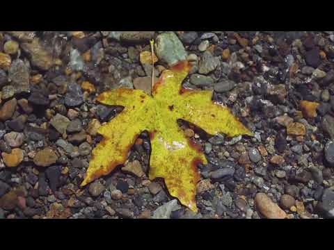 02. Rrëfime Profetike || Nuhi (alejhi selam)