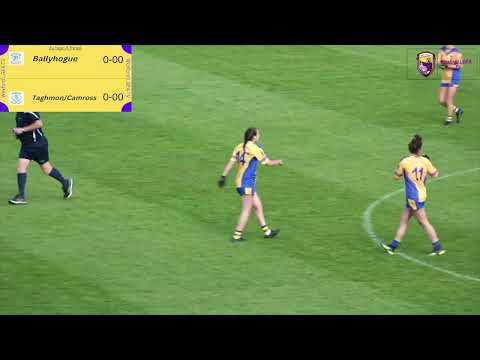 Wexford Ladies Football