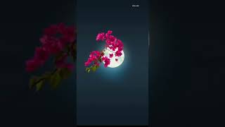 Ha Raa Ruu Status Watch Hd Mp4 Videos Download Free