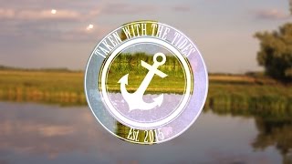 Taken With The Tides - Delial (Lyric Video)