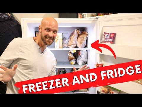Insignia Upright Convertible Freezer AND Refrigerator HONEST Review