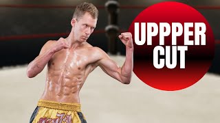 The Uppercut Tutorial You NEED