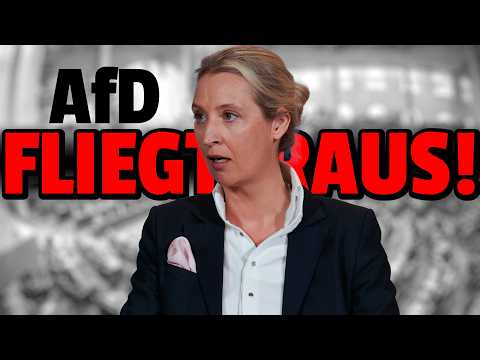 💥AfD wird aus dem Bundestag GEWORFEN!!