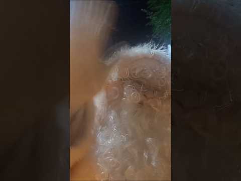 o "papai Noel"  veio em Bom Jardim  #maranhão #bomjardim bo