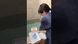 大きくて硬いものを入れて、さらに気持ち良くなってみた #shorts