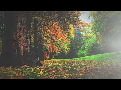 Živan Milic, Teško je ljubit' tajno