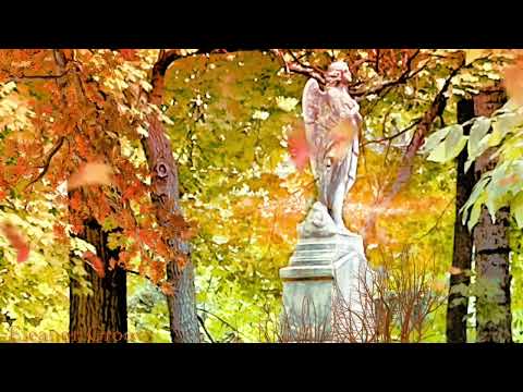 Autumn angel #ambience  #fall #autumn #angel  #leaves #calm #remember  #meditation  🍁 🍂#relaxing