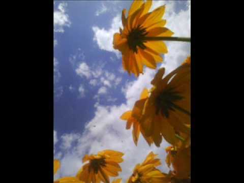 Nilda Fernandez-Dis quand reviendras-tu