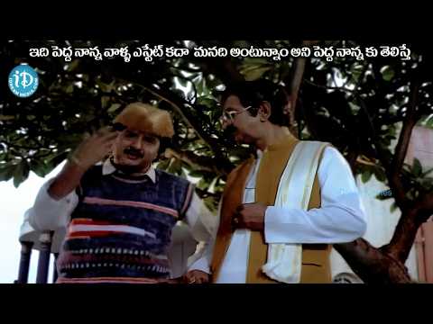 ఇది పెద్ద నాన్న వాళ్ళ ఎస్టేట్ కదా మనది అంటున్నాం అని పెద్దనాన్న కు తెలిస్తే? Alludugaru Movie comedy
