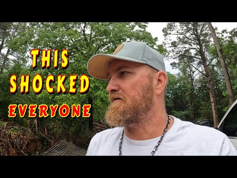 MOVING FORWARD | tiny house, homesteading, off-grid, cabin build, DIY, HOW TO, sawmill, tractor