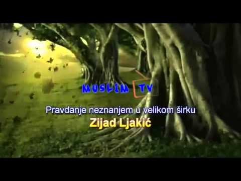 Mr. Zijad Ljakić - Pravdanje neznanjem u velikom širku