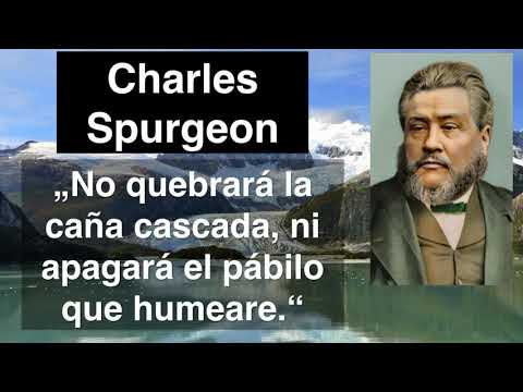 Isaías 42,3. Devocional de hoy. Charles Spurgeon en español.
