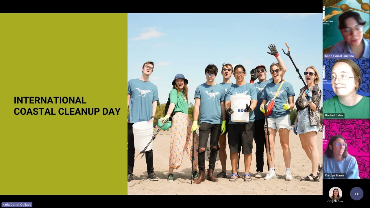 Webinar: The Plastic Problem and the Impact of International Coastal Cleanup Day