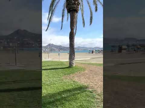 See you at the beach #shorts