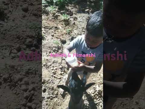 Adhith  or Himanshi ka nakhre!🤗🥰🤗