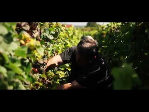 Champagne Alexandre Bonnet 2018