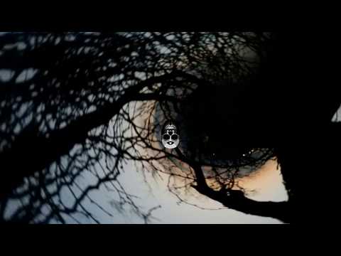 iL Cuervo & Nohumans - Halos & sombras