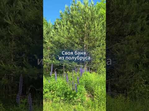 Купить дачу, с/т Надежда (Логойский р-н, Минская область)